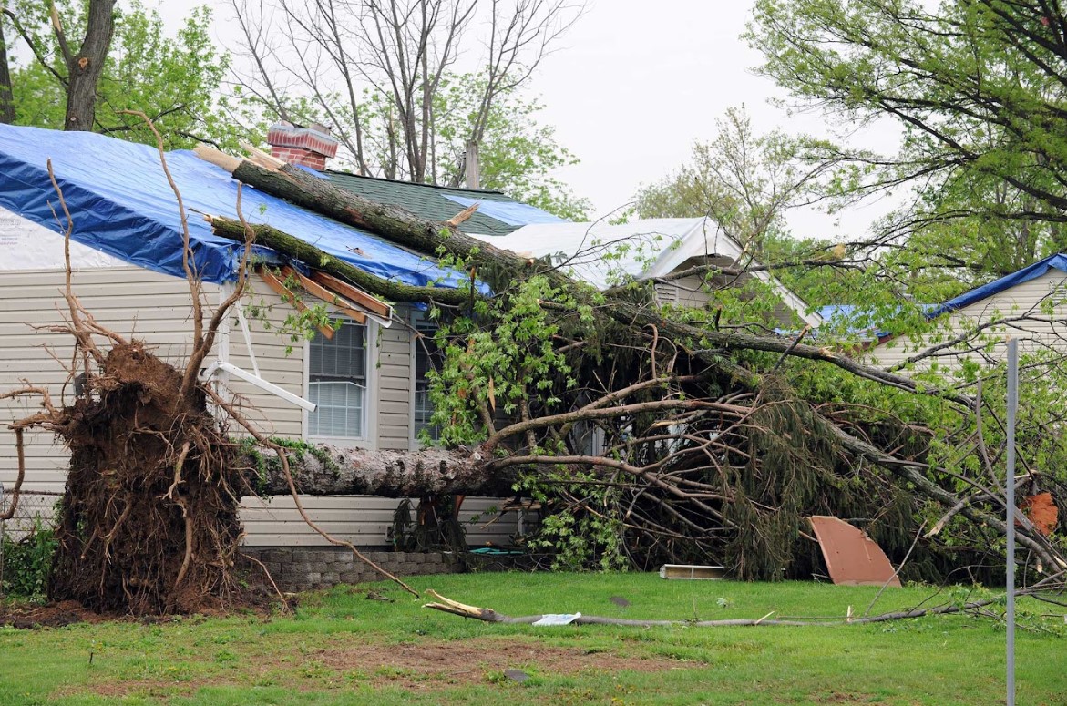 roof damage insurance claim