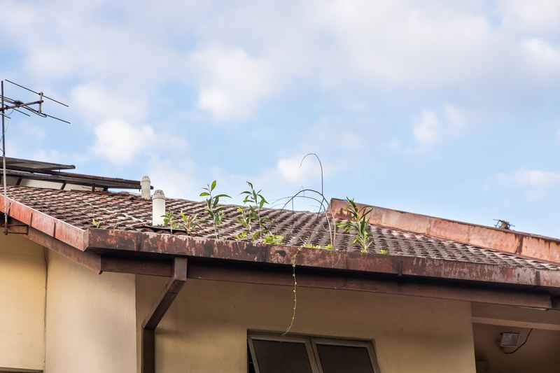 Gutter replacement, Jonesboro